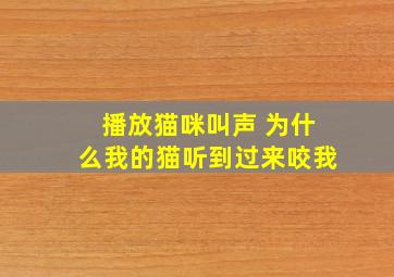 播放猫咪叫声 为什么我的猫听到过来咬我